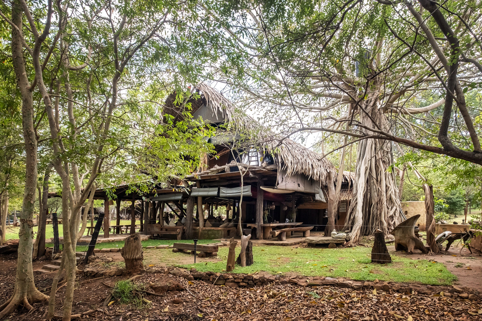 Banyan Camp