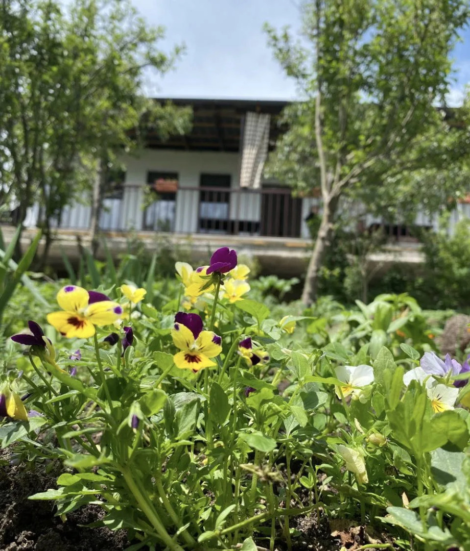 Гостевой дом  Green Agarak