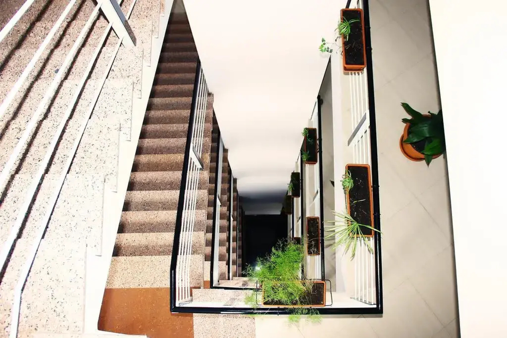 Отель Shine Palace