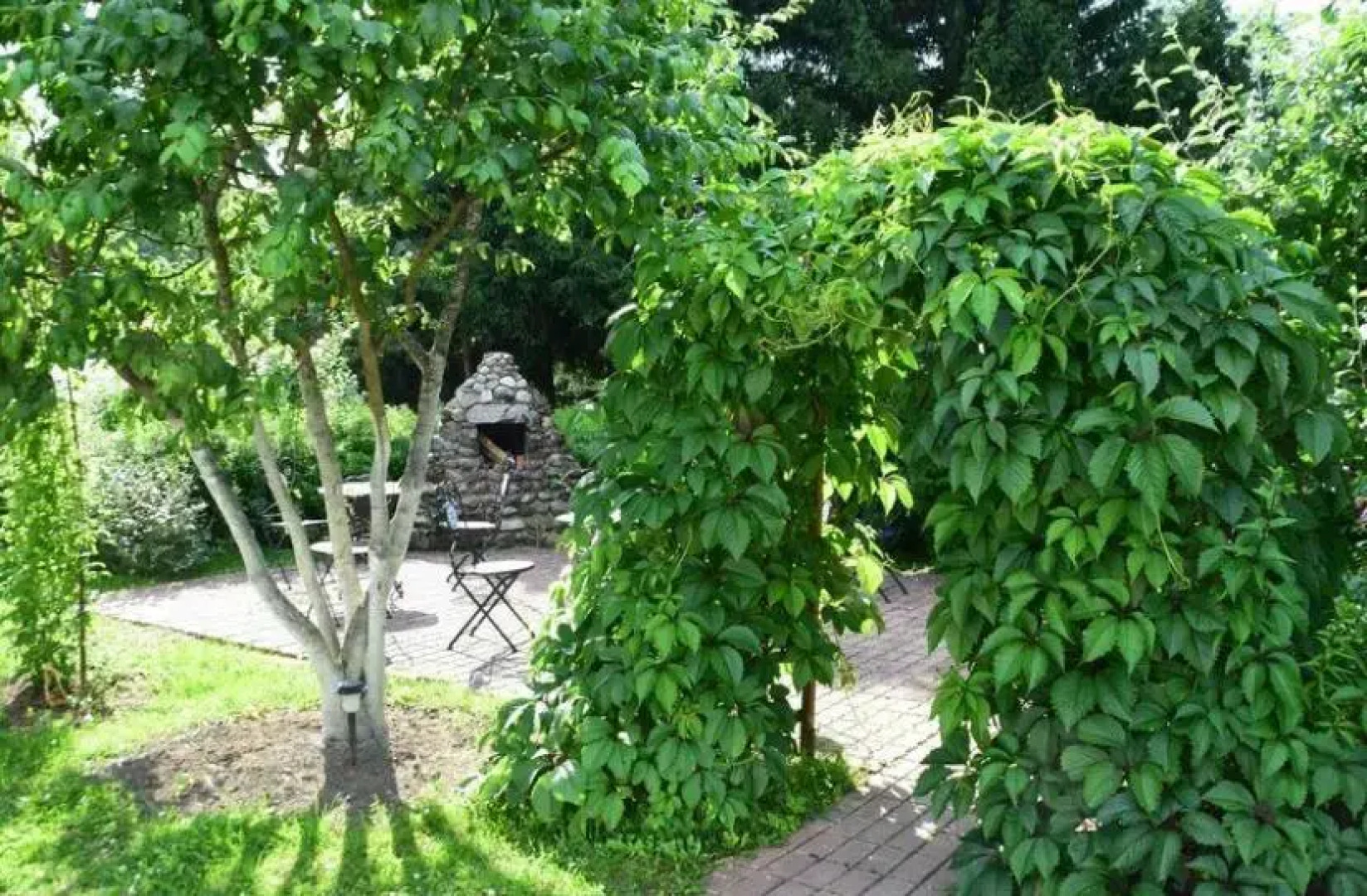 Хутор Старая Кууса