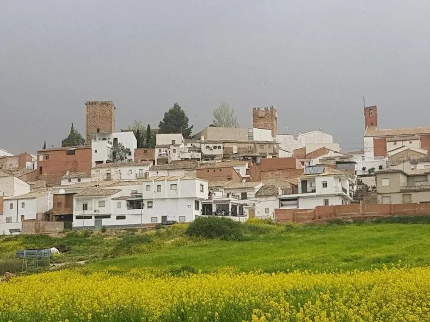 Отель  Al-Andalus