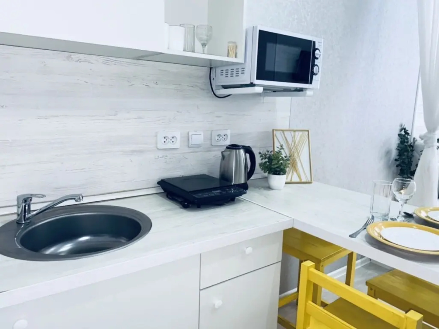 Студия Лимон возле парка и лебединого озера