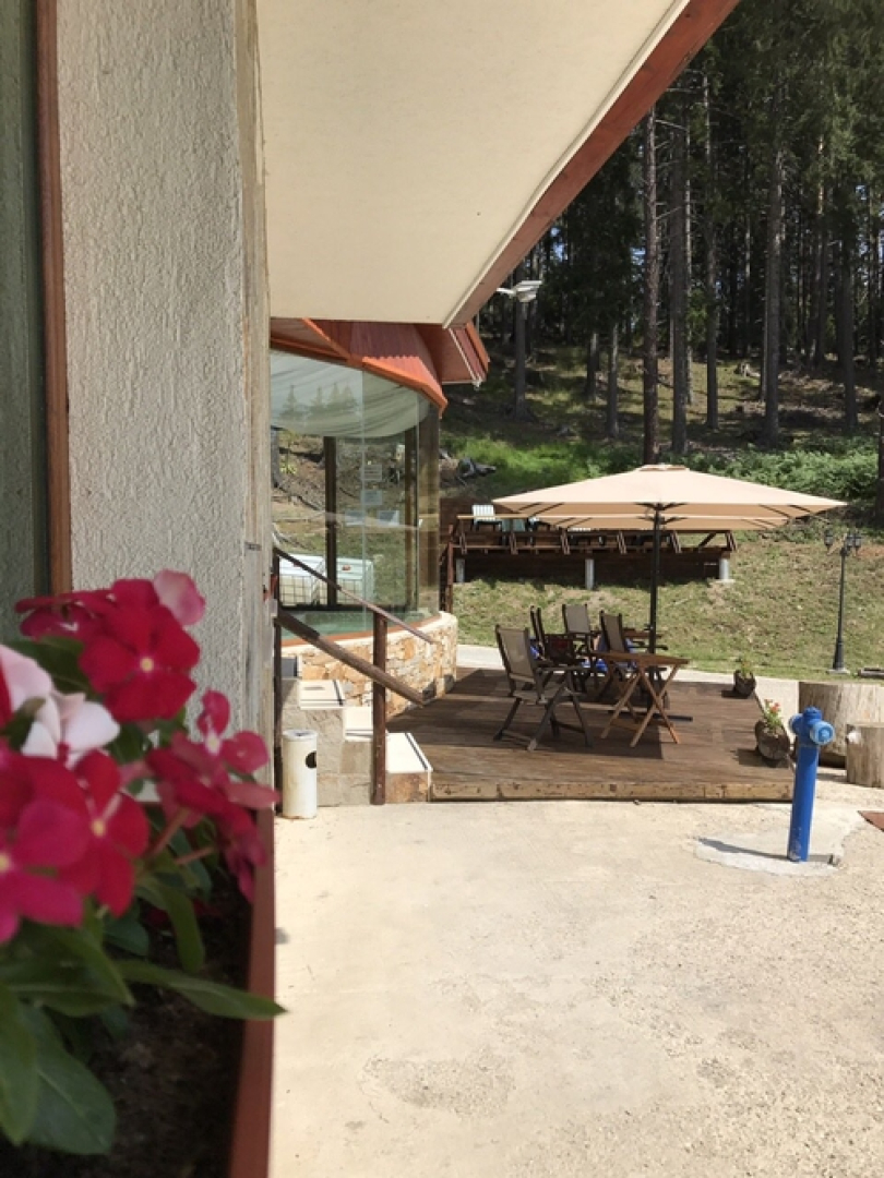 Отель Forest Glade