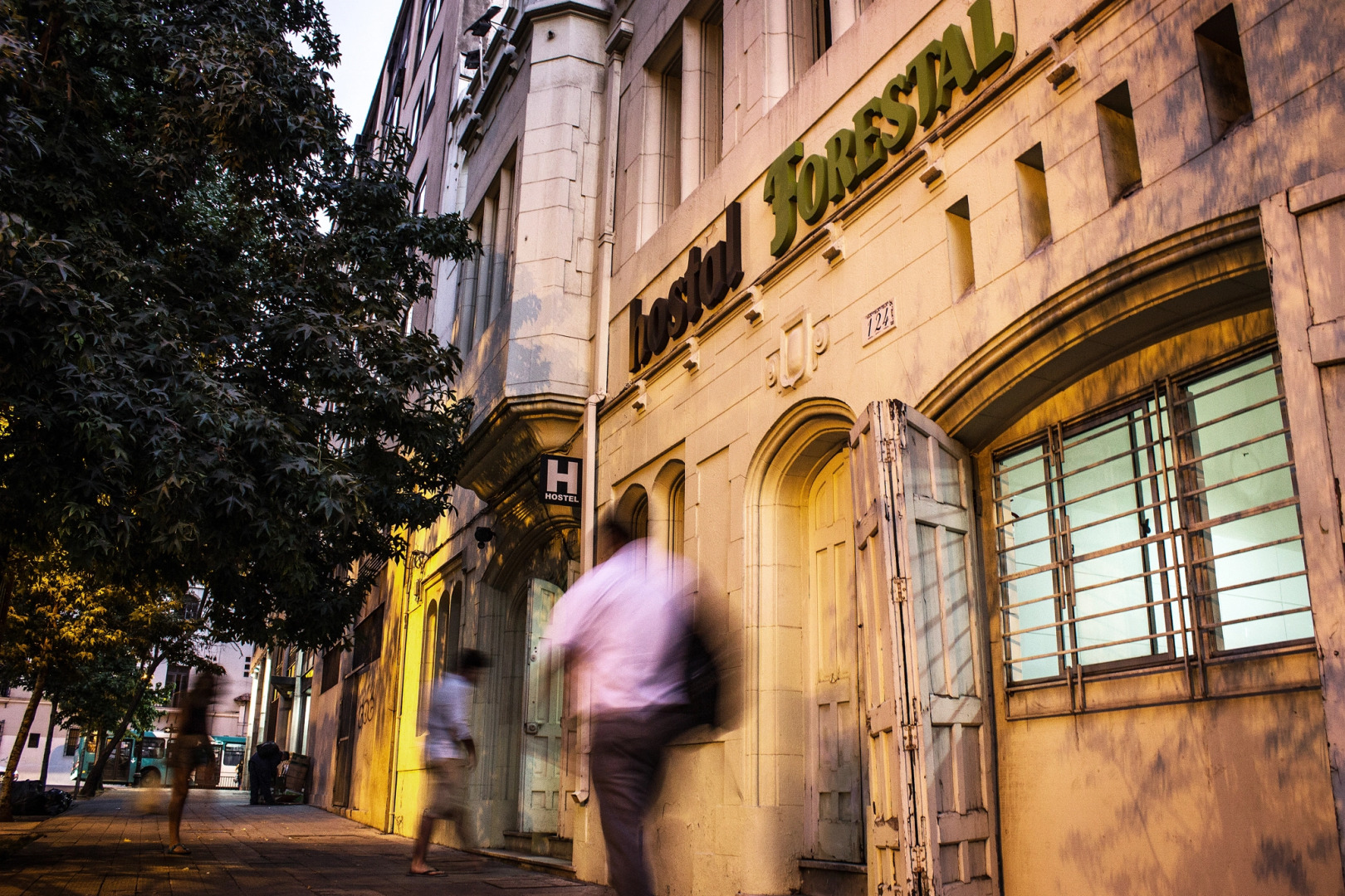 Хостел Forestal