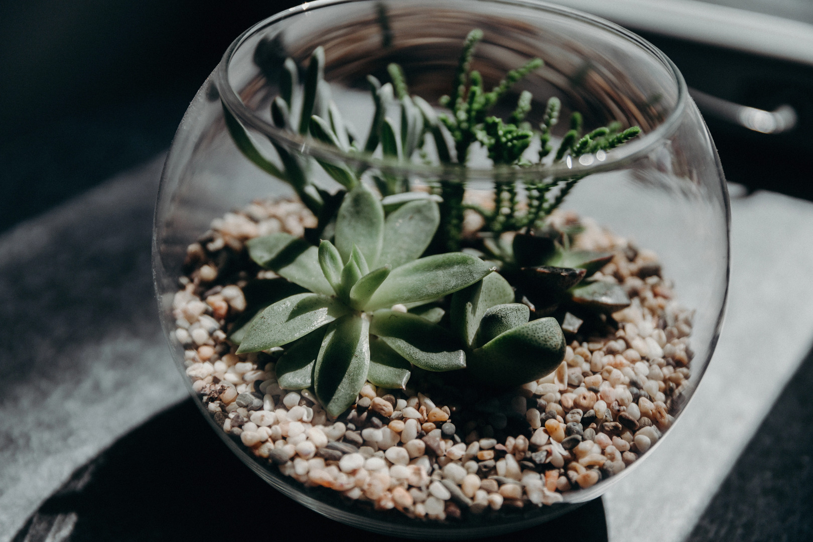 Апартаменты Д