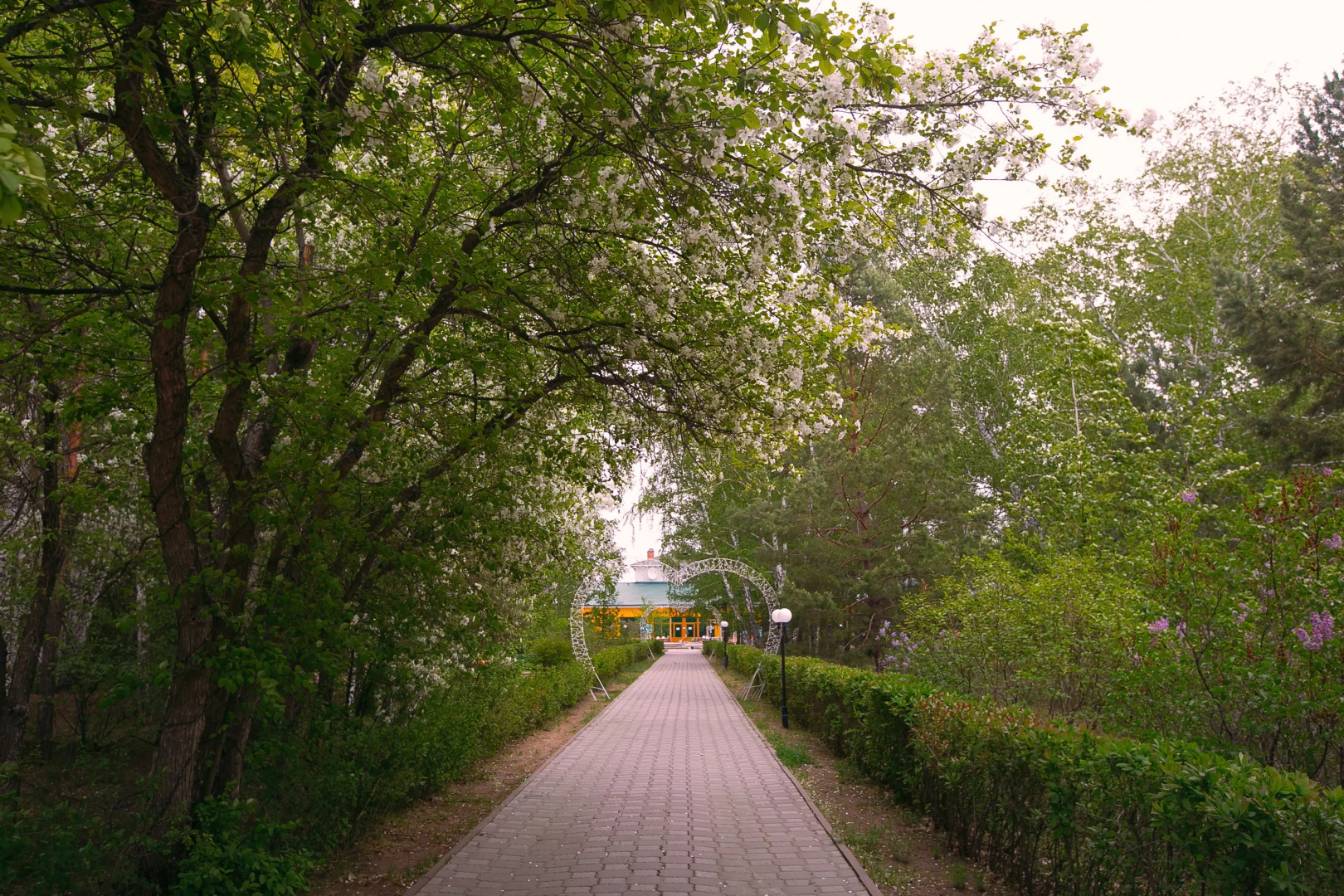 Отель Мечта