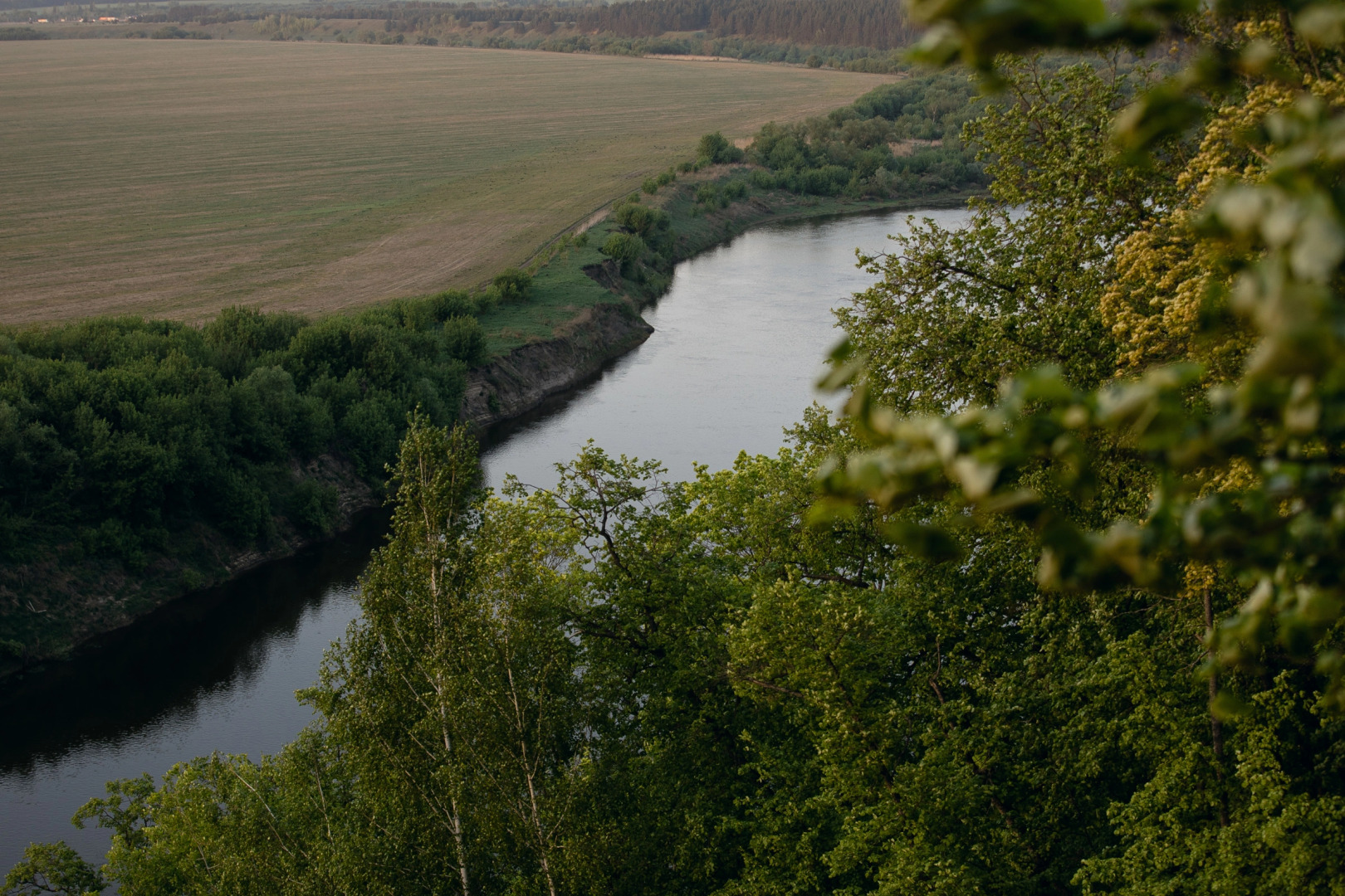 База отдыха Загородный Клуб Кривоборье