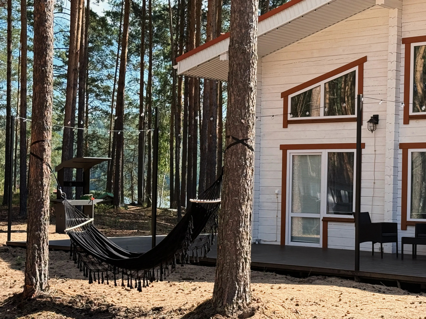 Частный дом Белый и сосны