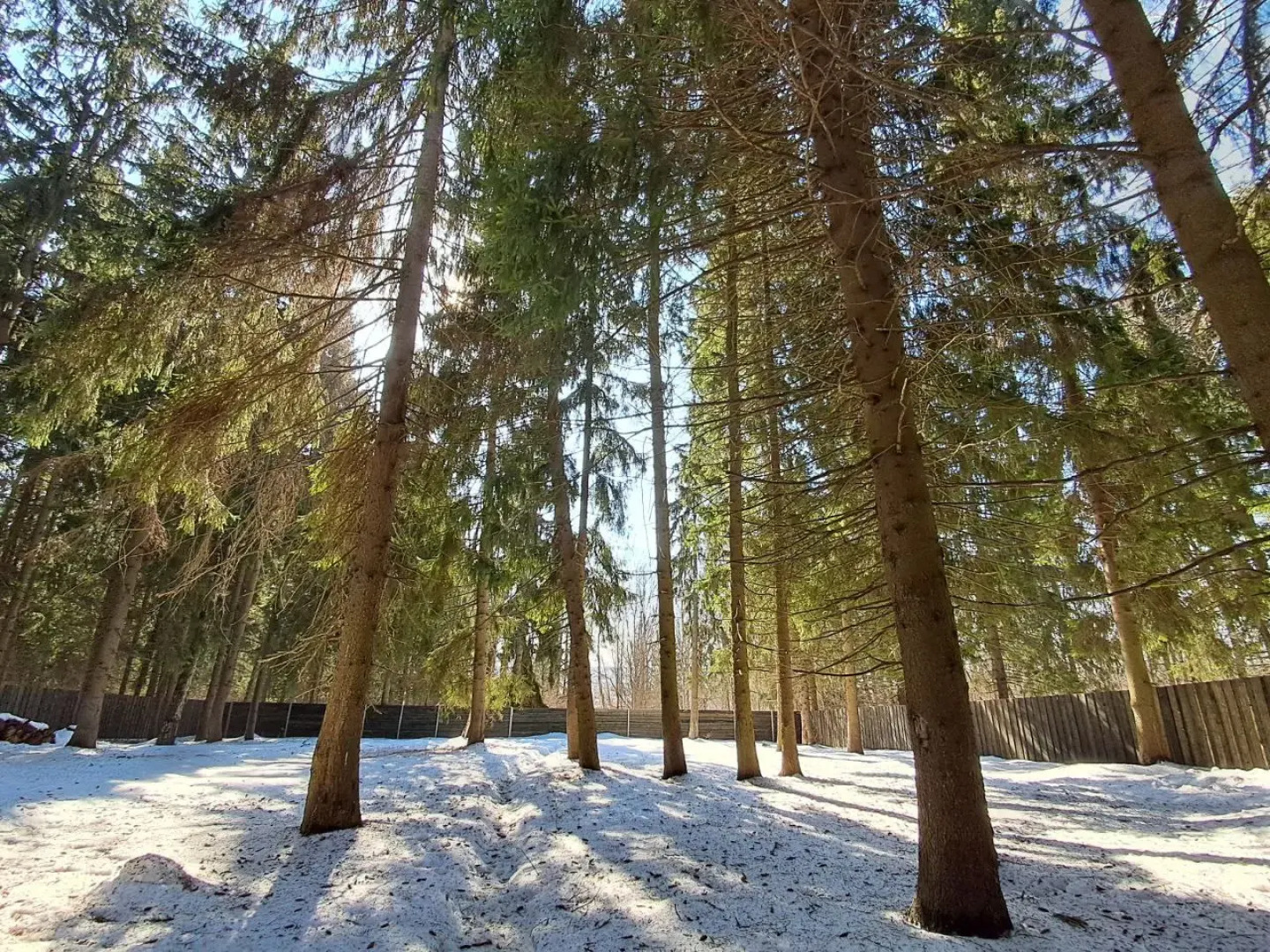 Частный дом Greenholt