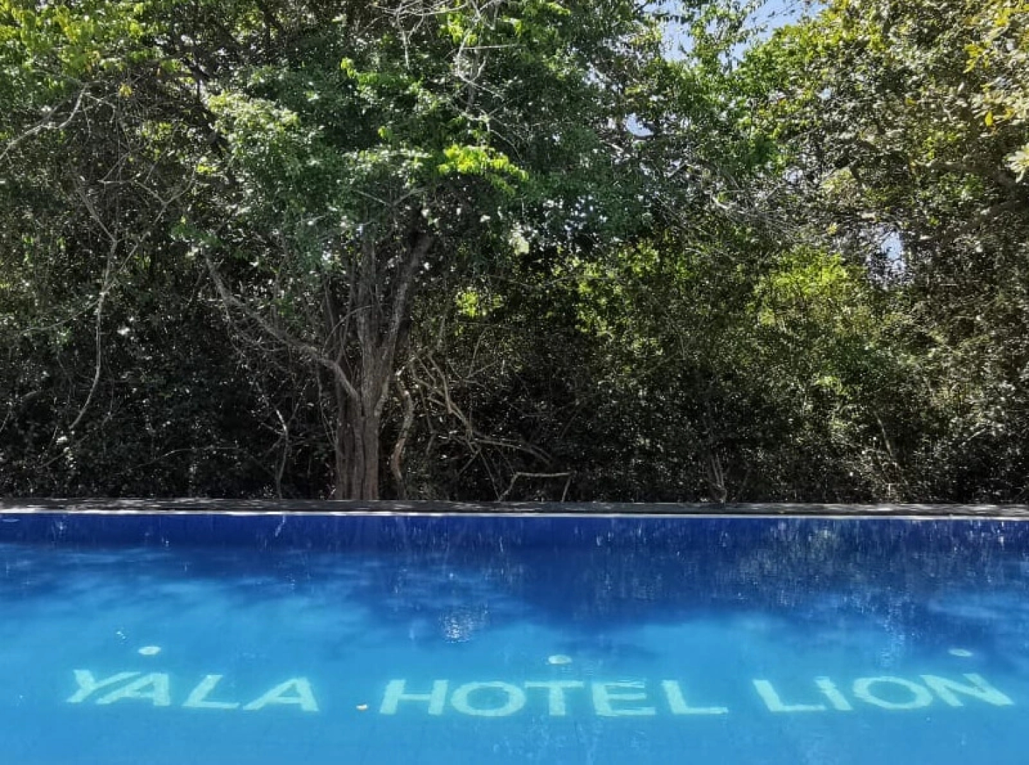 Отель Camping Yala Hotel Ravana luxury Safari Camp Tents
