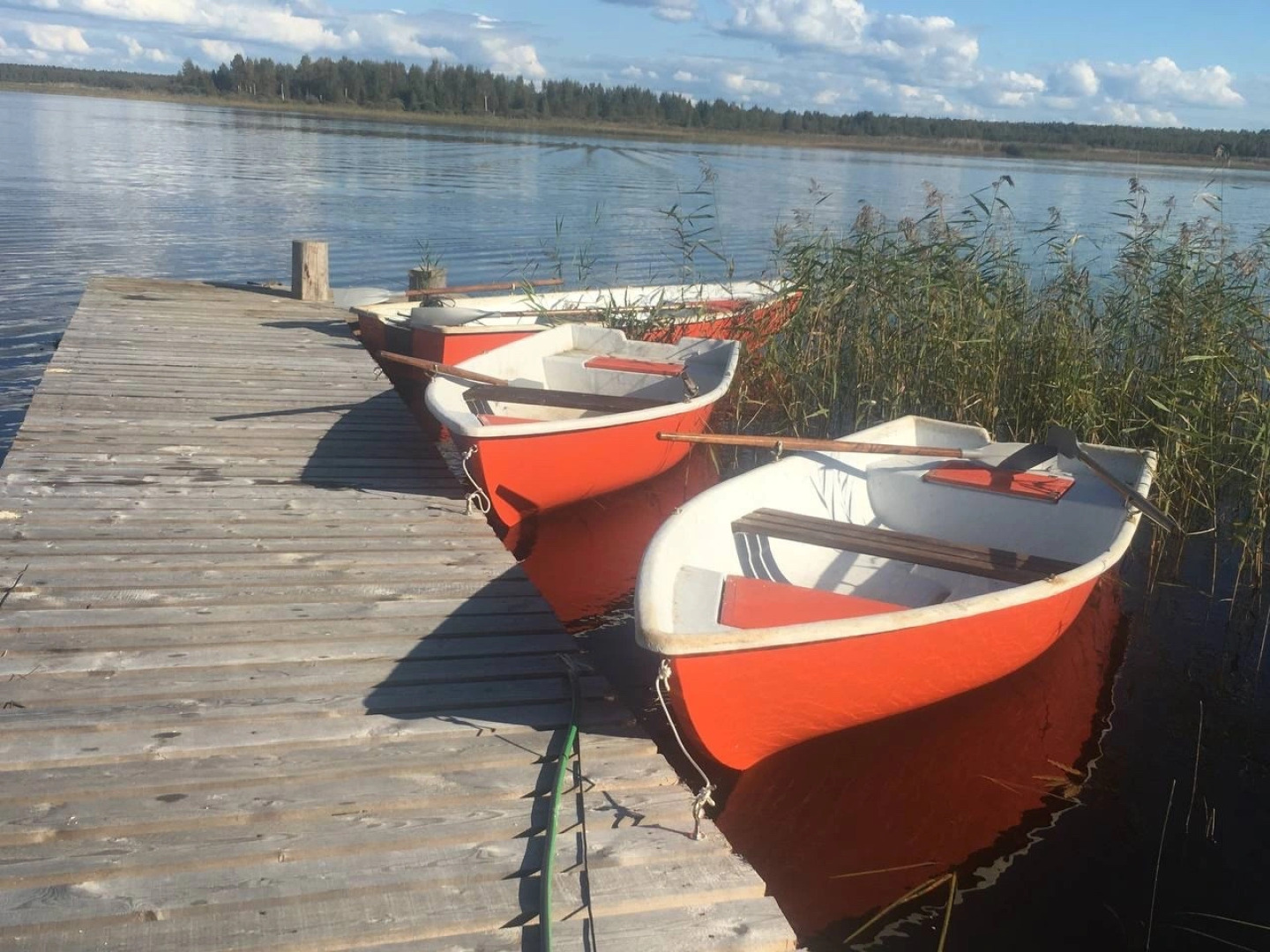 Гостевой дом Дикий Гусь