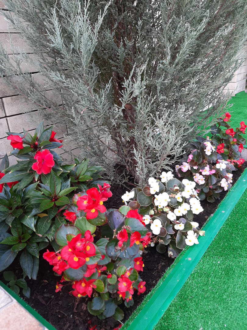 Гостевой дом Лили