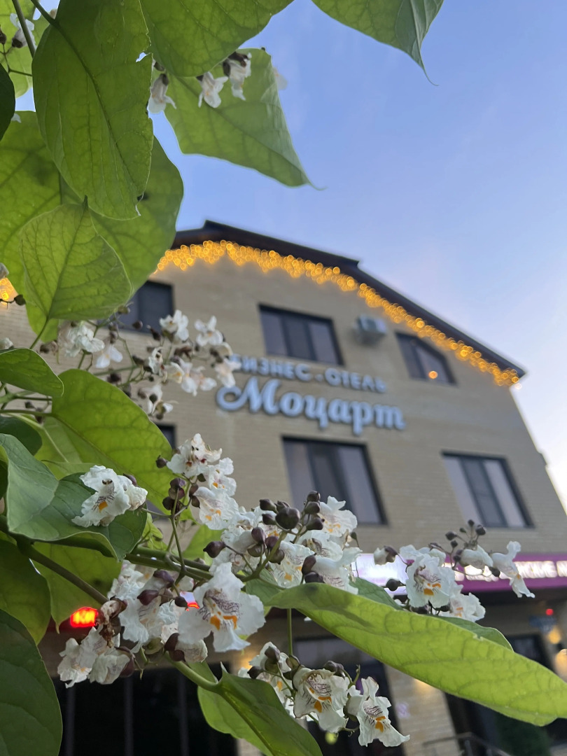 Отель Моцарт
