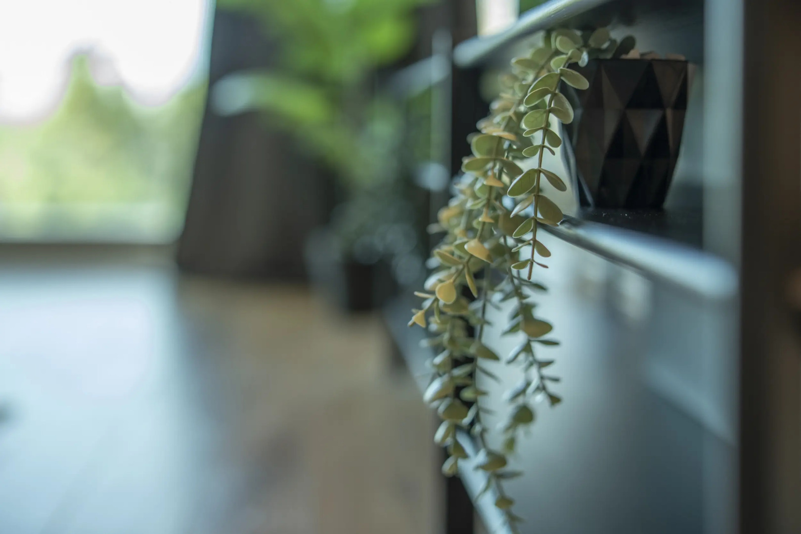 Апартаменты Maxi Sirius Town