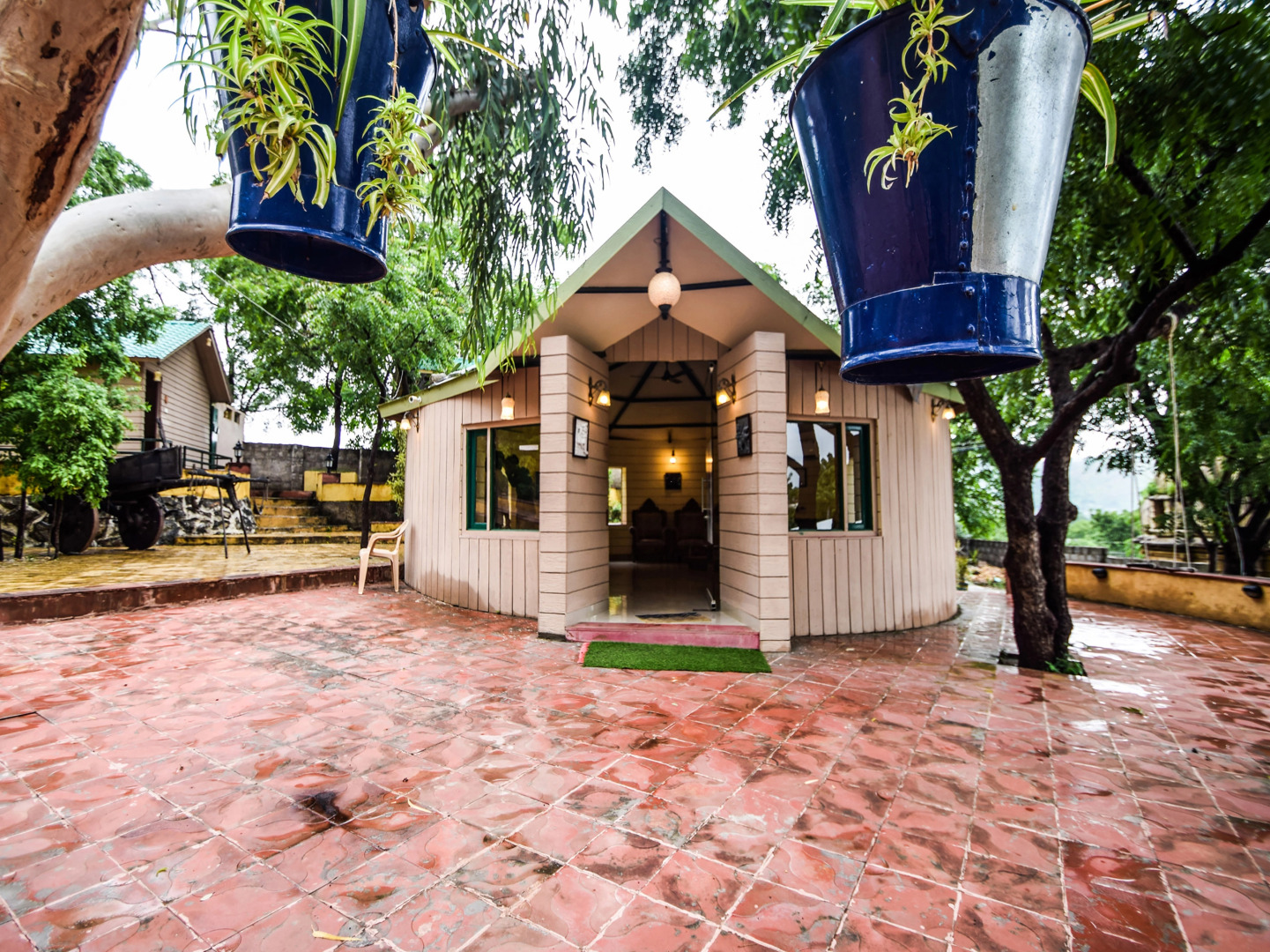 Отель The Space Jungle