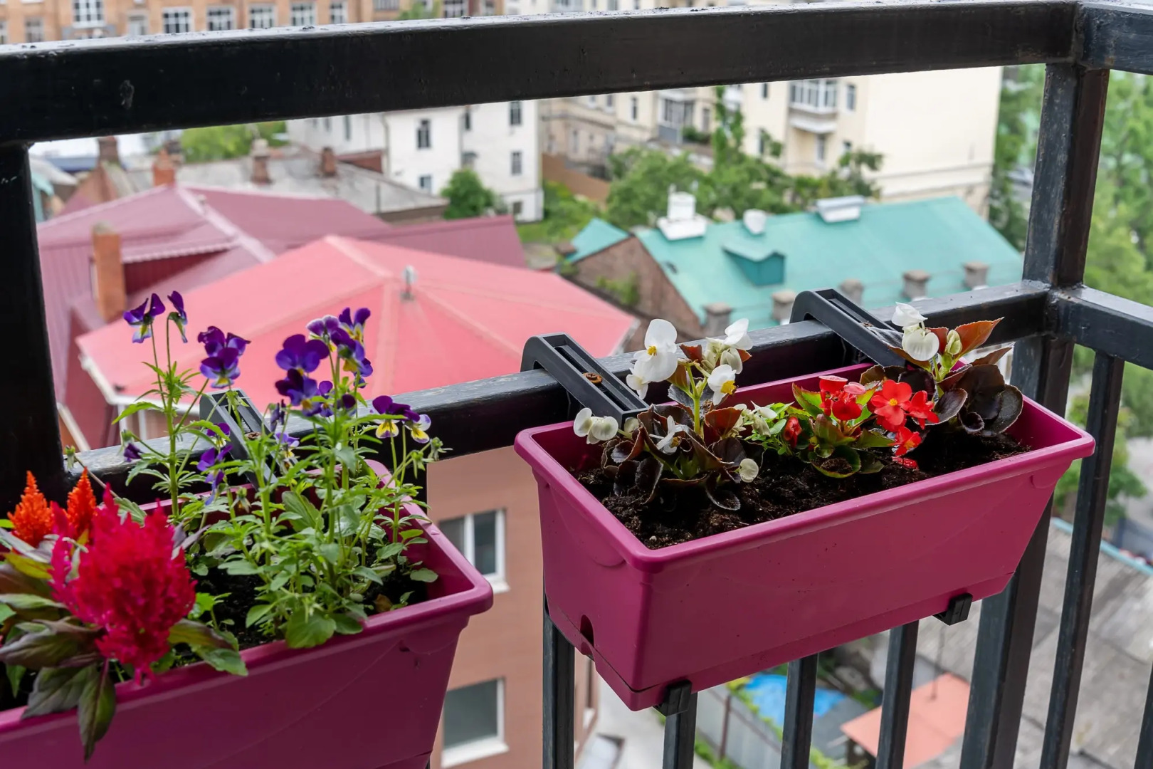 Апартаменты Scandi Home