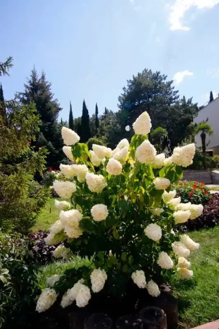 Отель Узбекистан