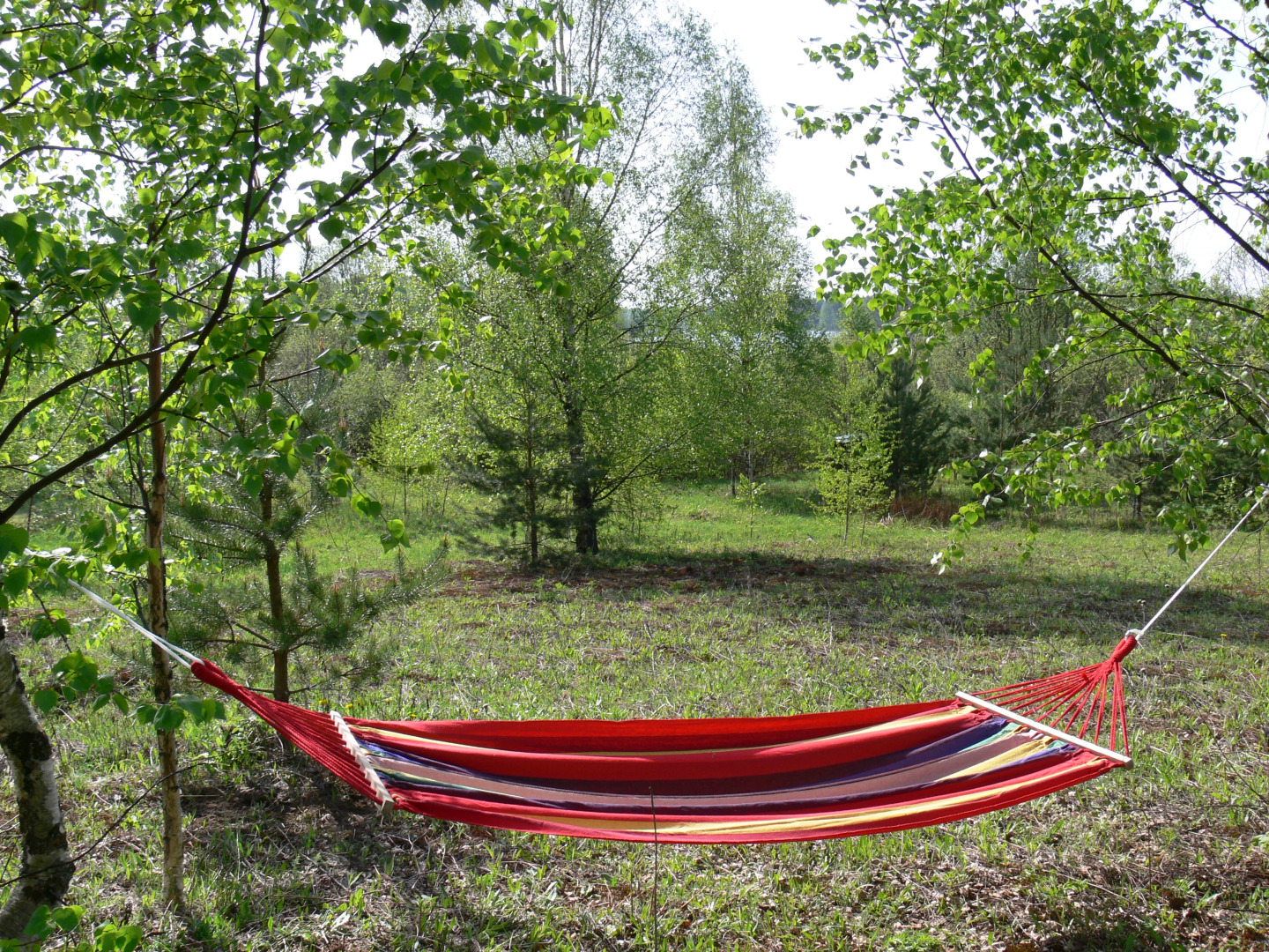 Кемпинг International Camp club Bereg Best Beach Stylish Coastline Ukleyno Lake National Park Valdai