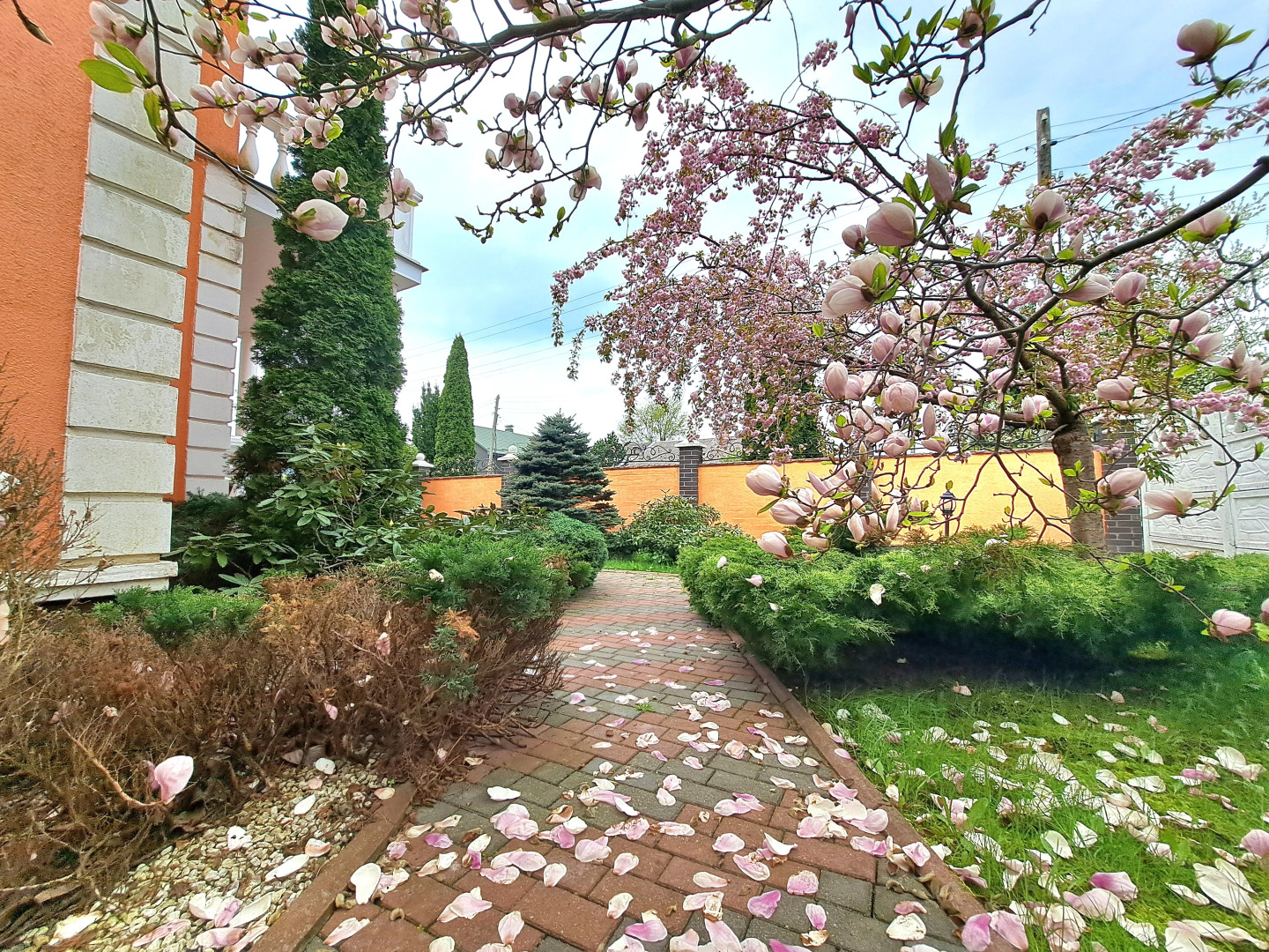 Вилла Магнолия