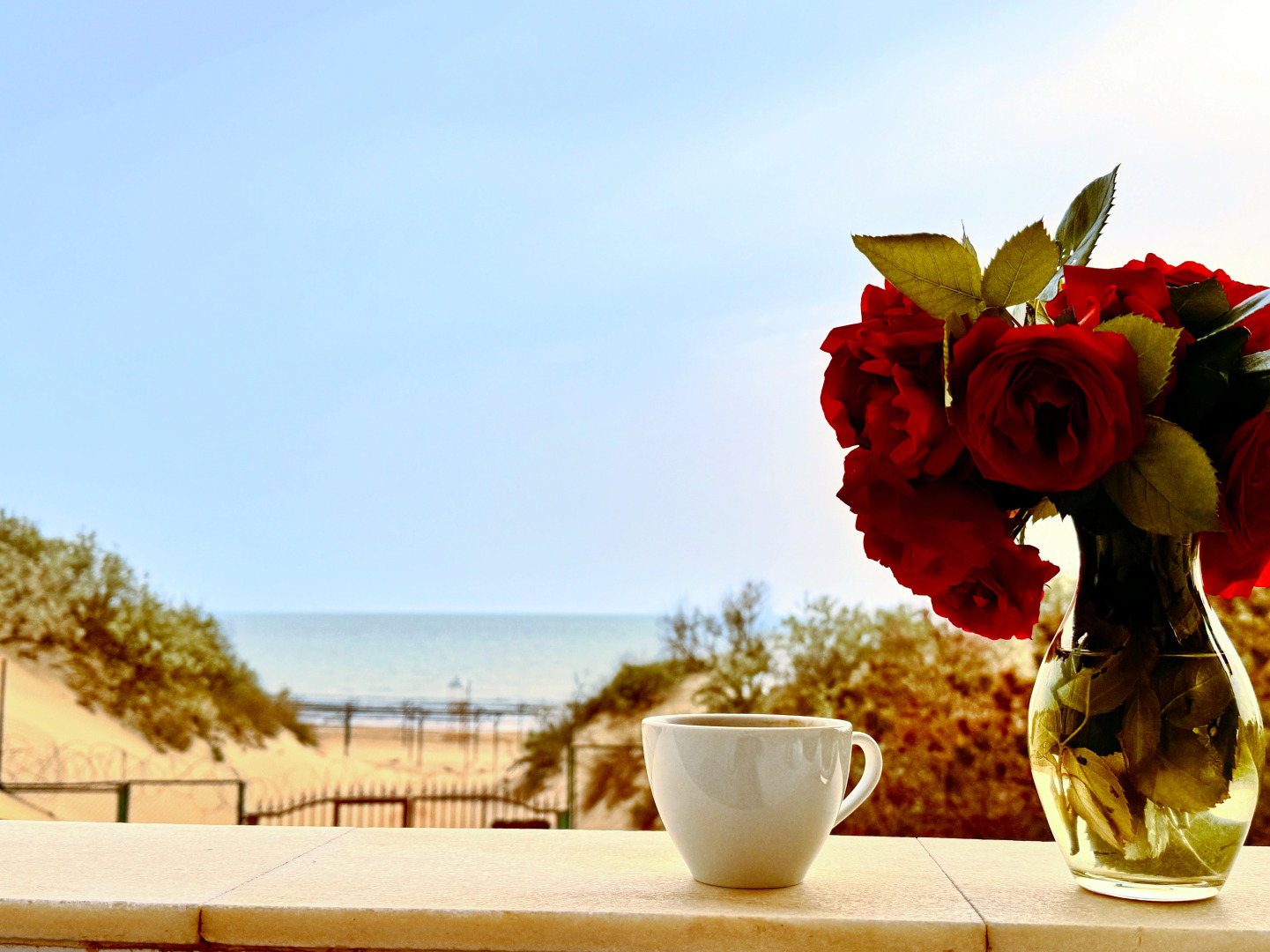 Гостевой дом Галатея