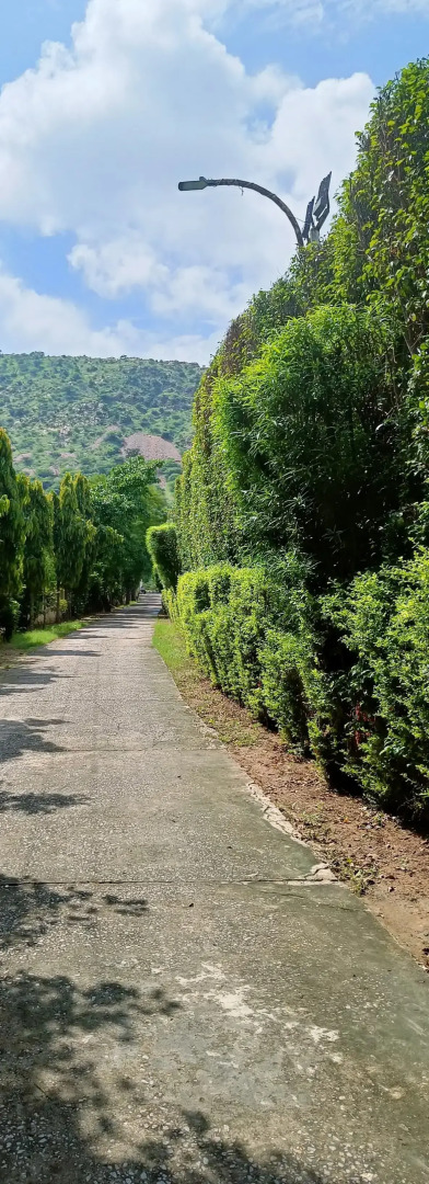 Отель Sagar Resort, Dhai Pedy, Near Kati Ghati Alwar