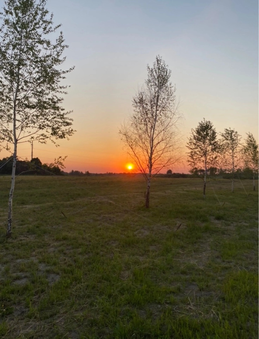 Апартаменты Солнечный Ласкино