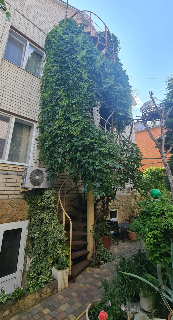 Гостевой дом Виола