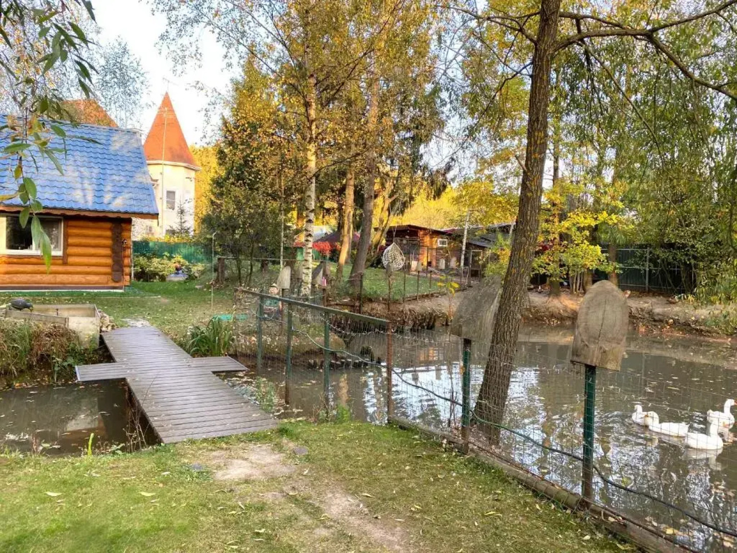 Шале  Изба Николаича