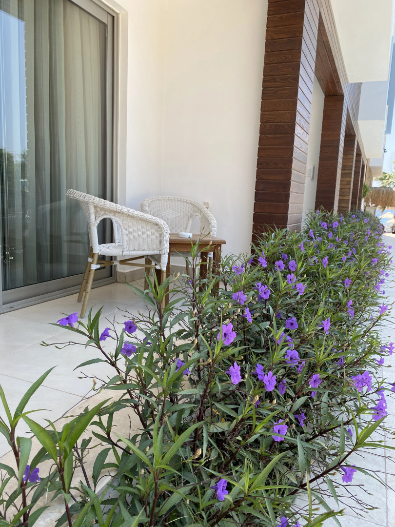 Курортный отель Zest Exclusive Hotel and Spa