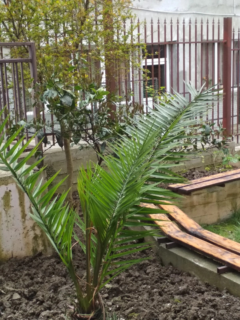 Гостевой дом Банановый рай