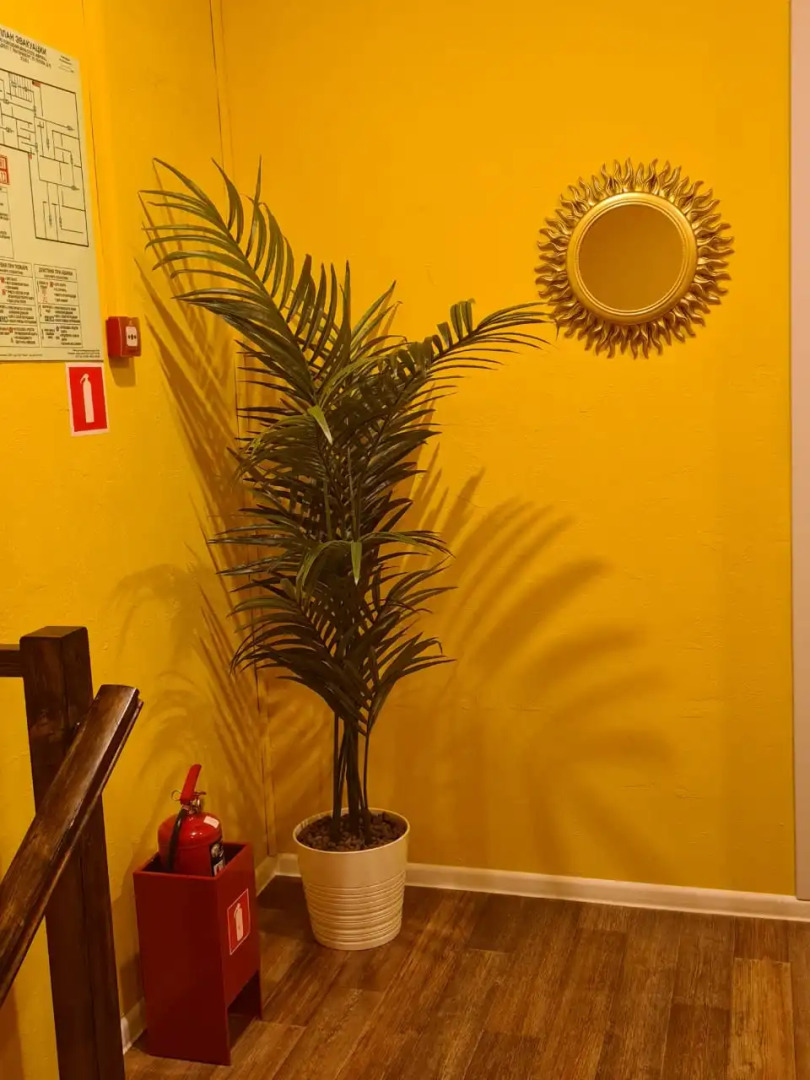 Мини-отель Mexico