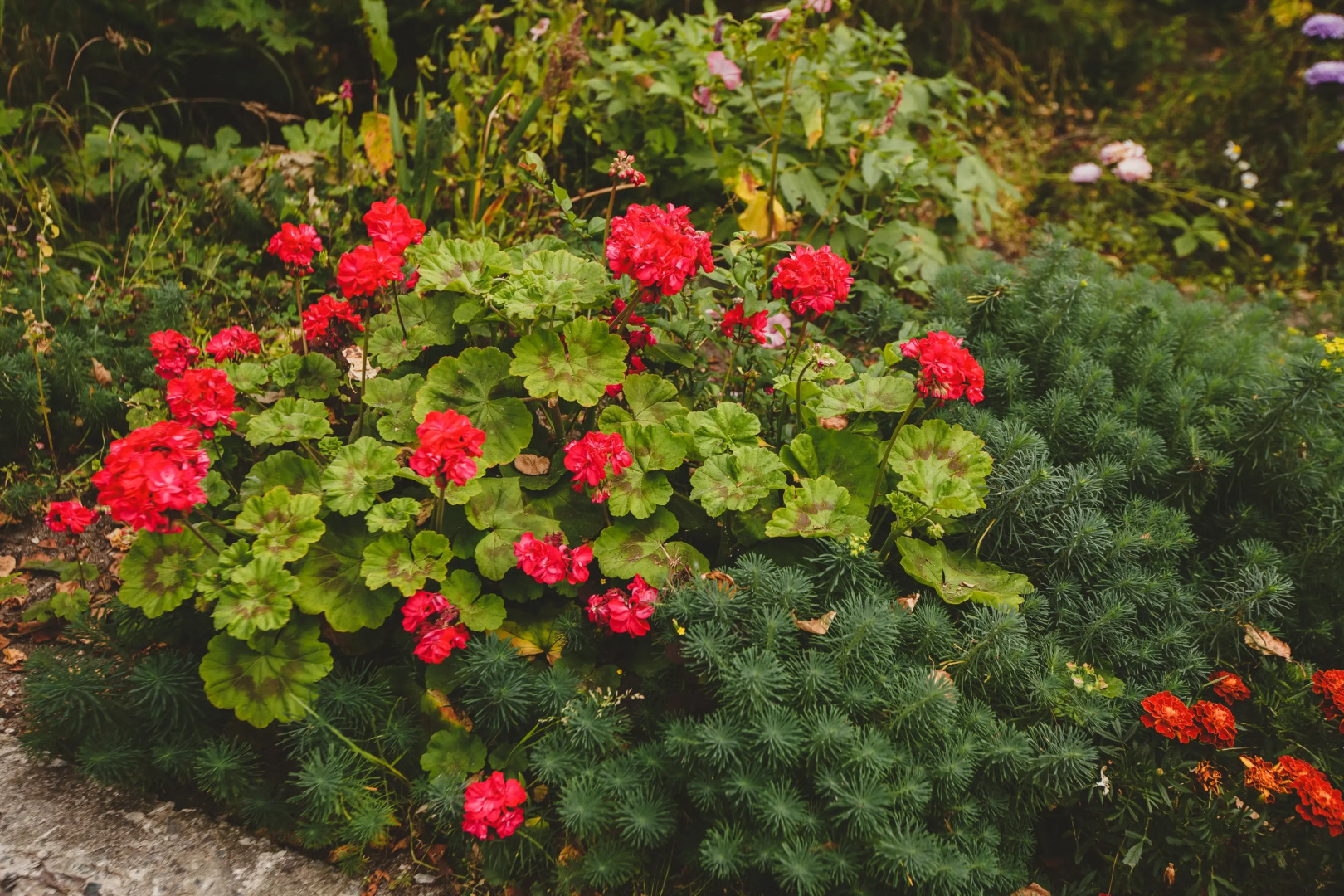 Гостевой дом Тунайча