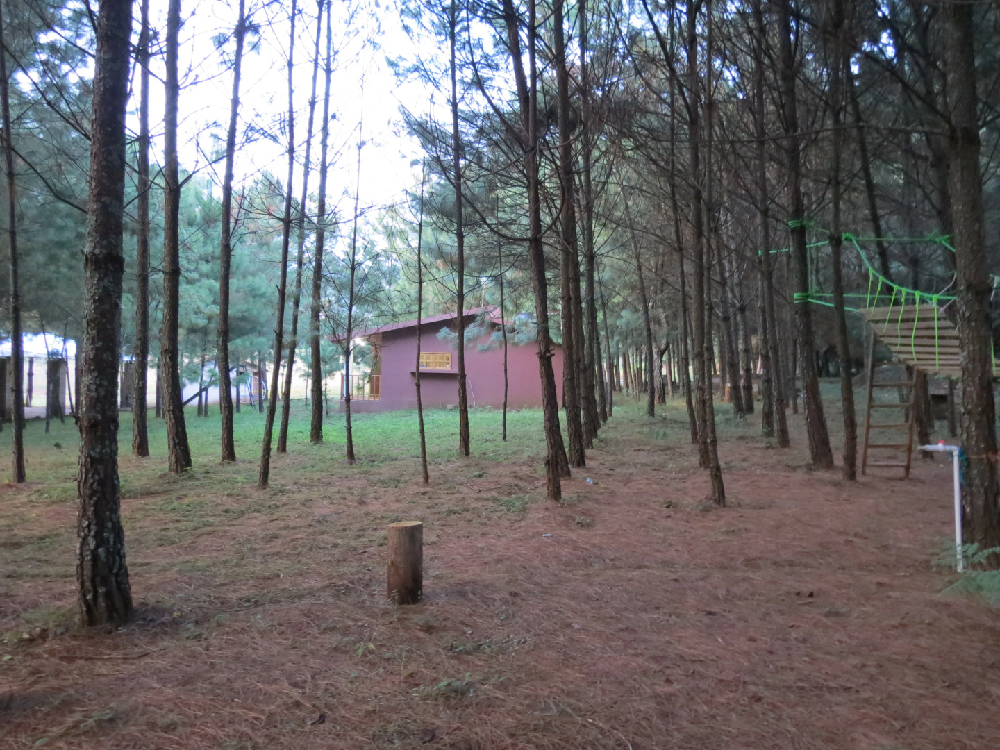 Отель Viña Real Cabañas Rotamundos