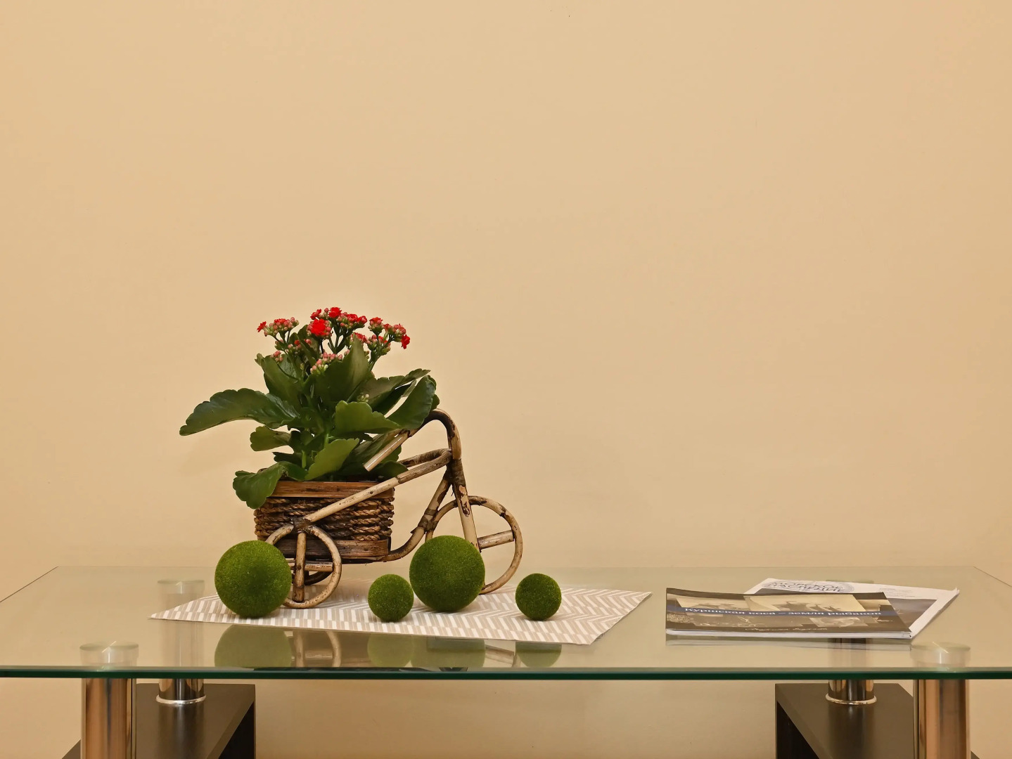 Квартира Евродвушка возле Зоопарка