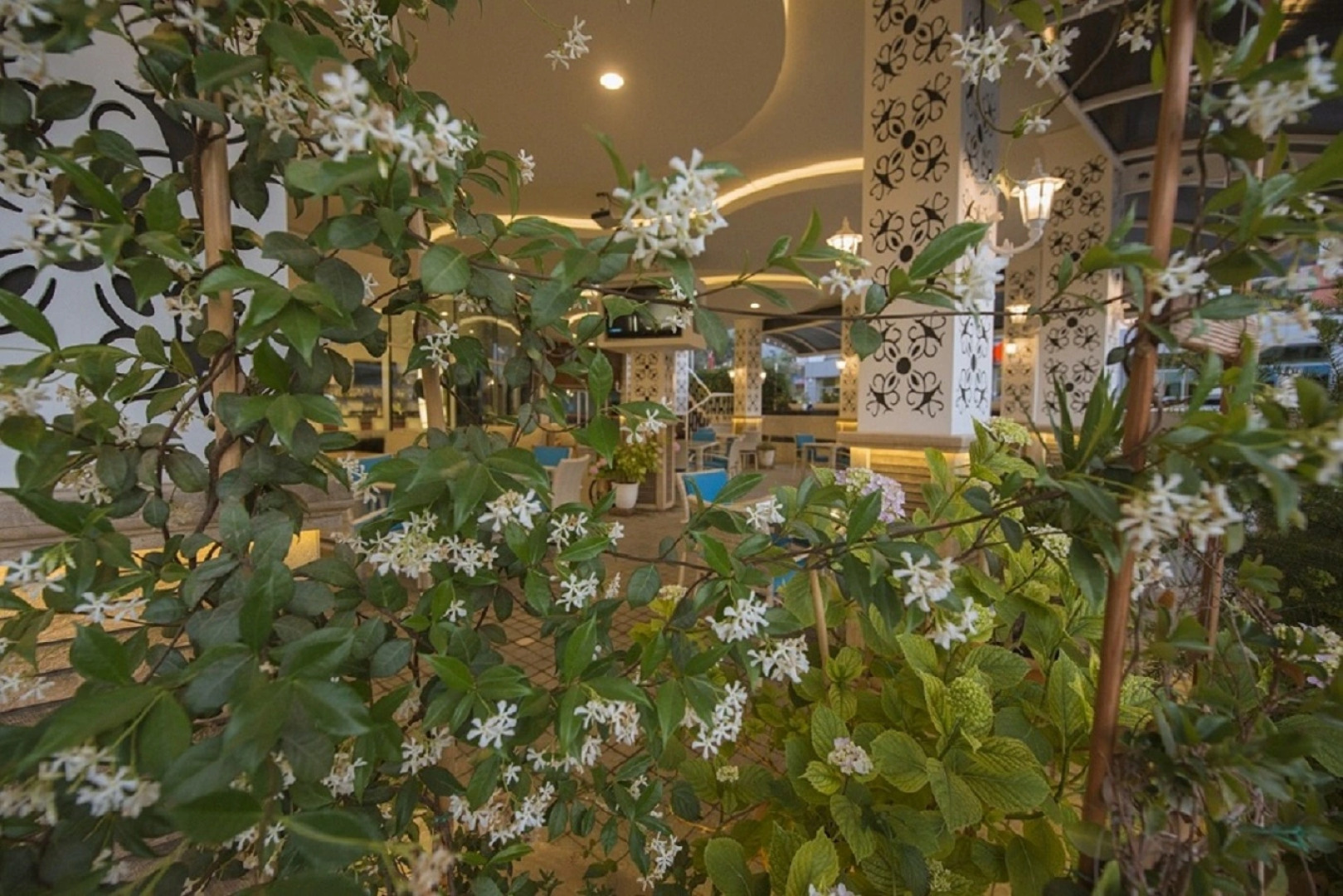 Отель Ocean Blue High Class