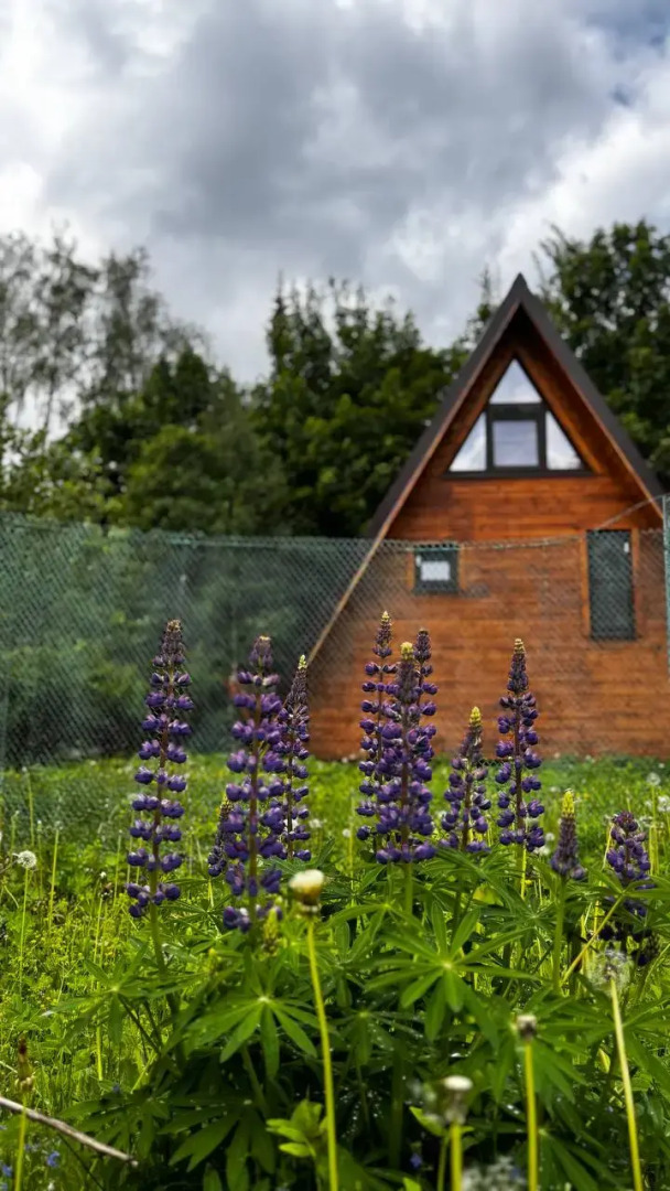 Частный дом Лисичкин дом