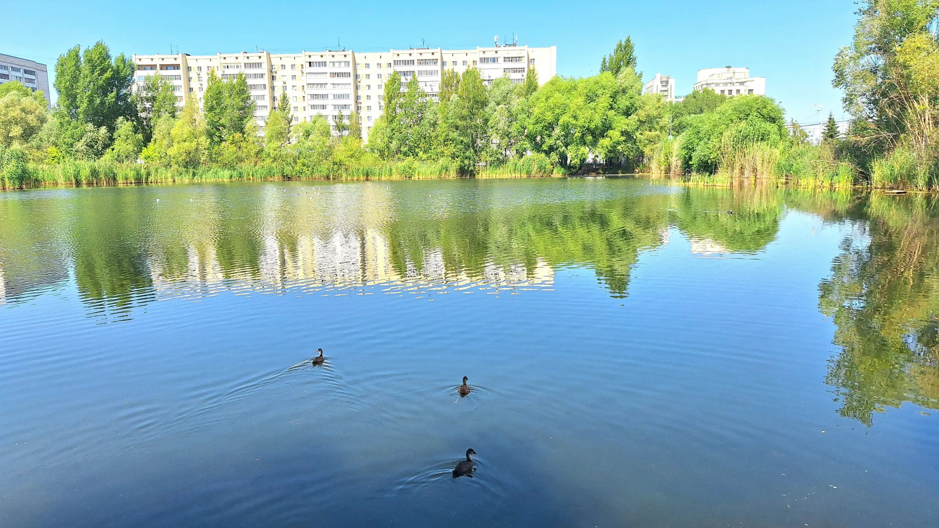 Квартира ЖК 5 Звёзд