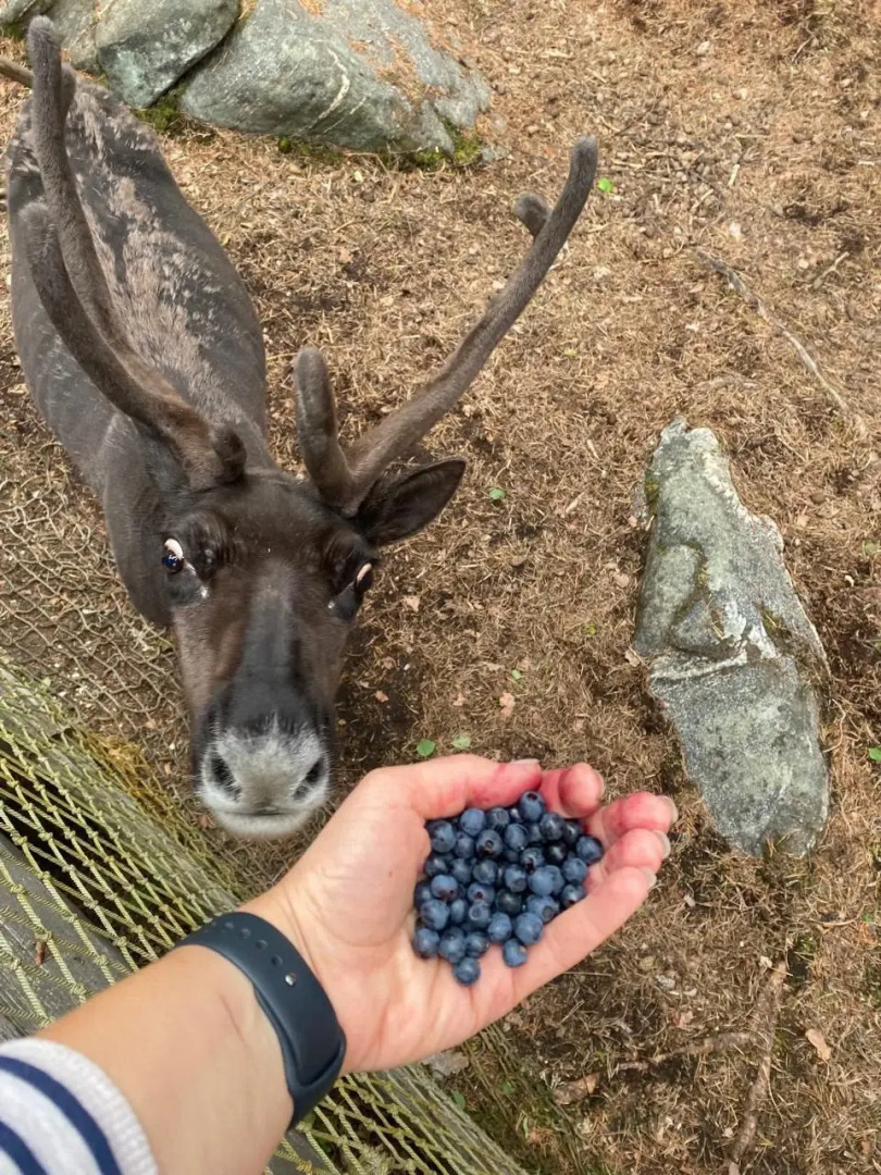 База отдыха Лопский берег