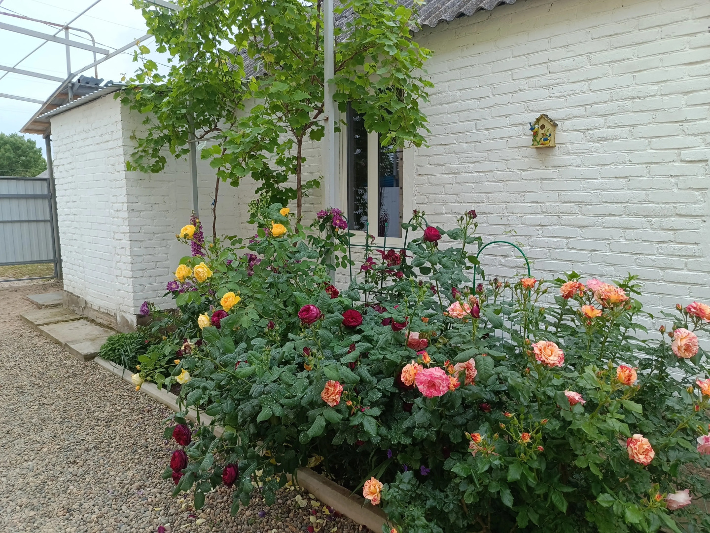 Меблированные комнаты в частном секторе