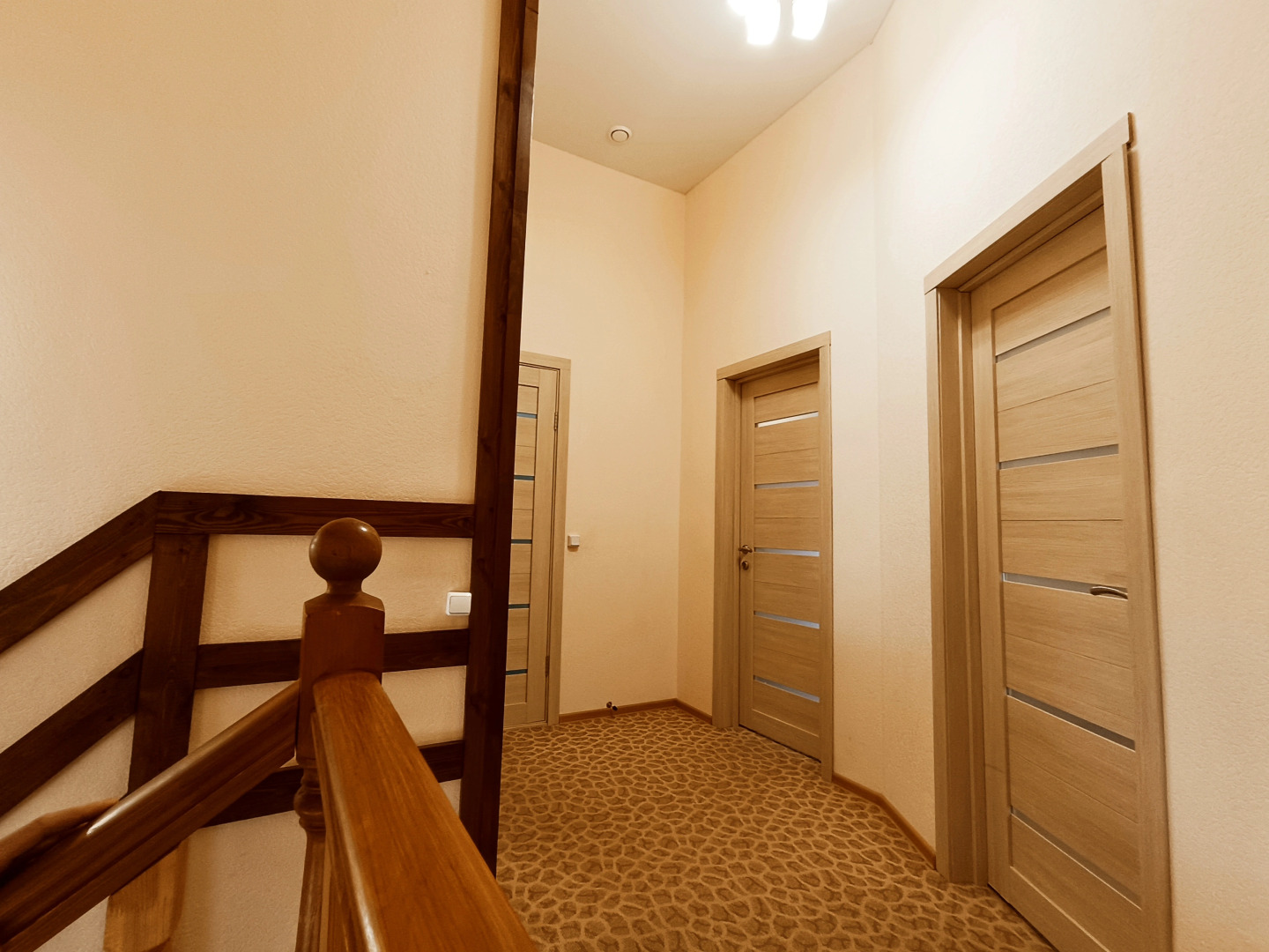 Частный дом Снежок