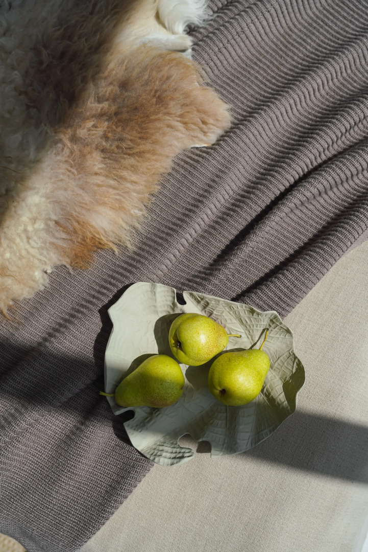 Гостевой дом Alpina house