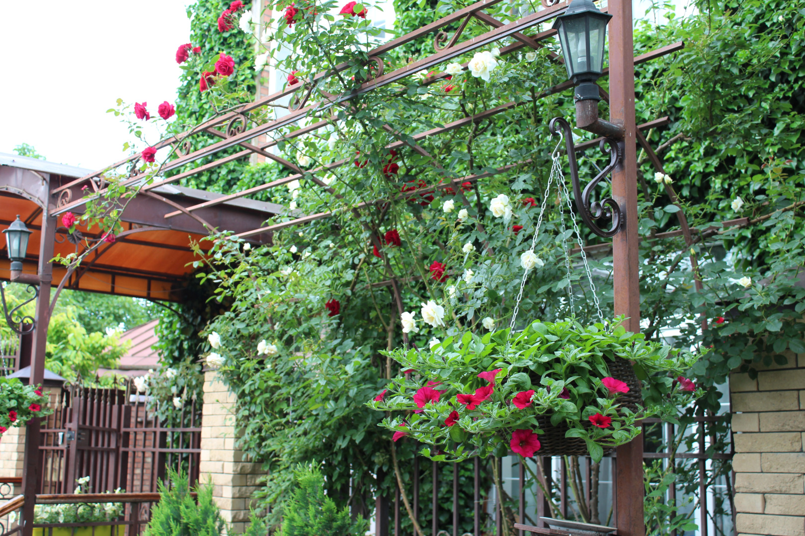 Меблированные комнаты У Друзей