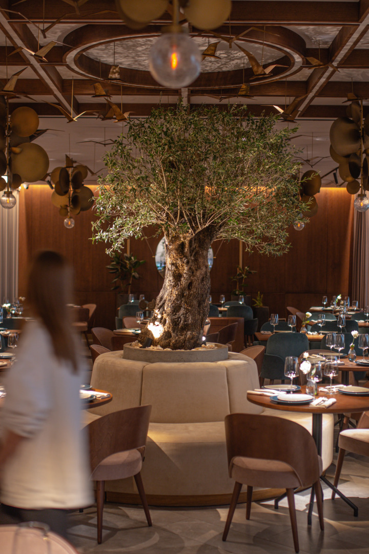 Отель Полет Чайки