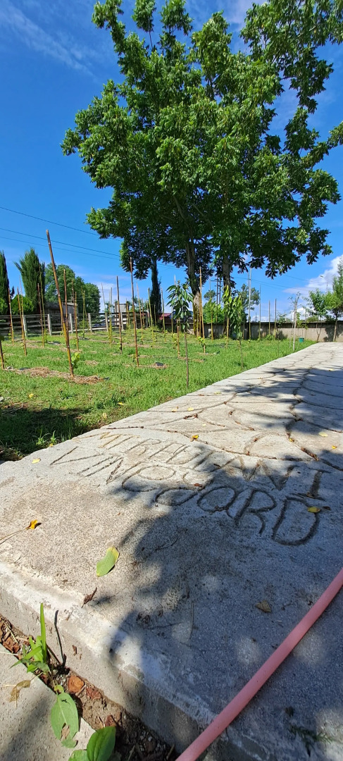 Апарт-отель Mtrediani Wine Lodge