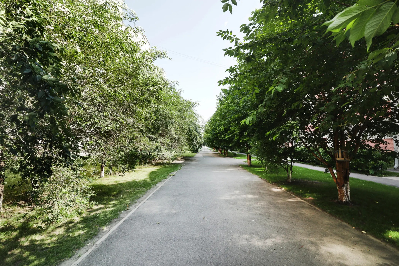 Квартира Luxe