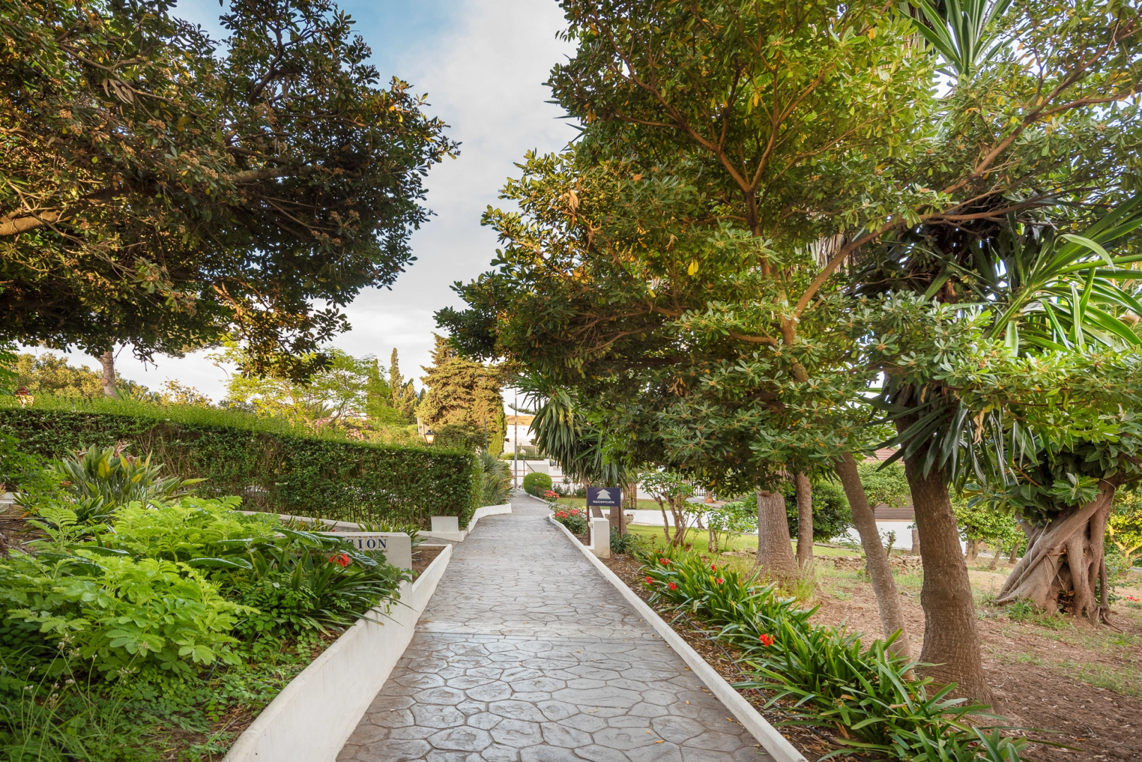 Апарт-отель SUITES CORTIJO FONTANILLA