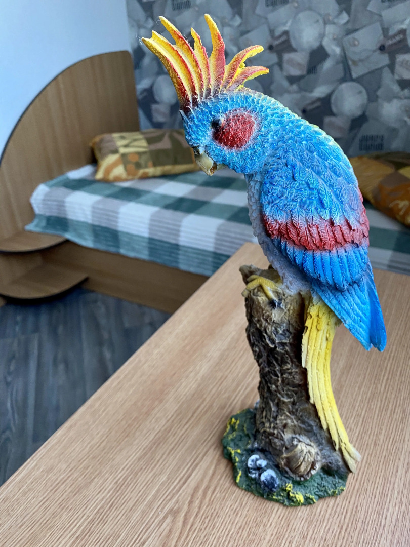 Гостевой дом 38 Попугаев