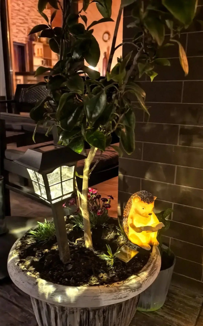 Розов Хутор