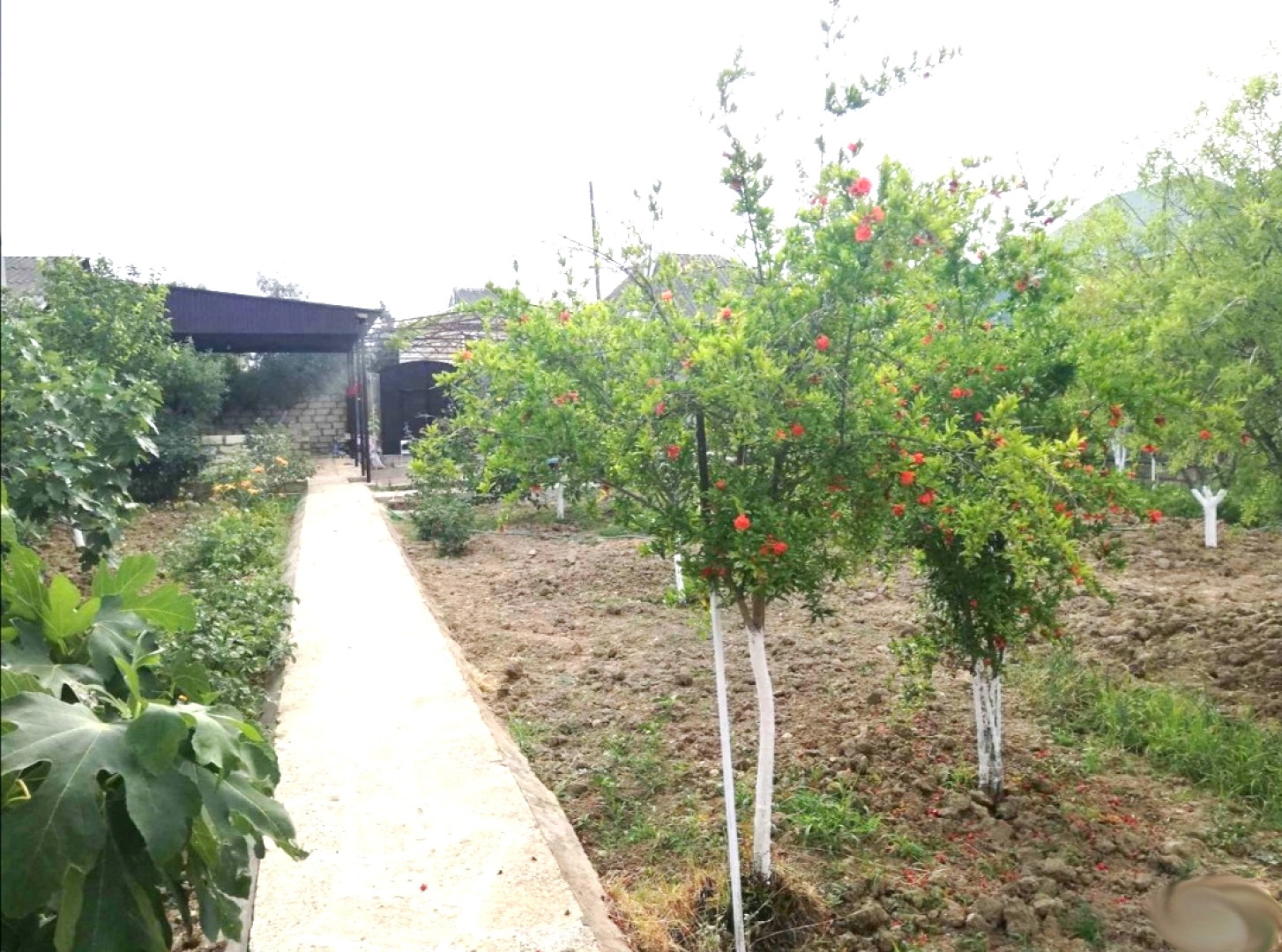 Вилла Дача на Берегу Моря