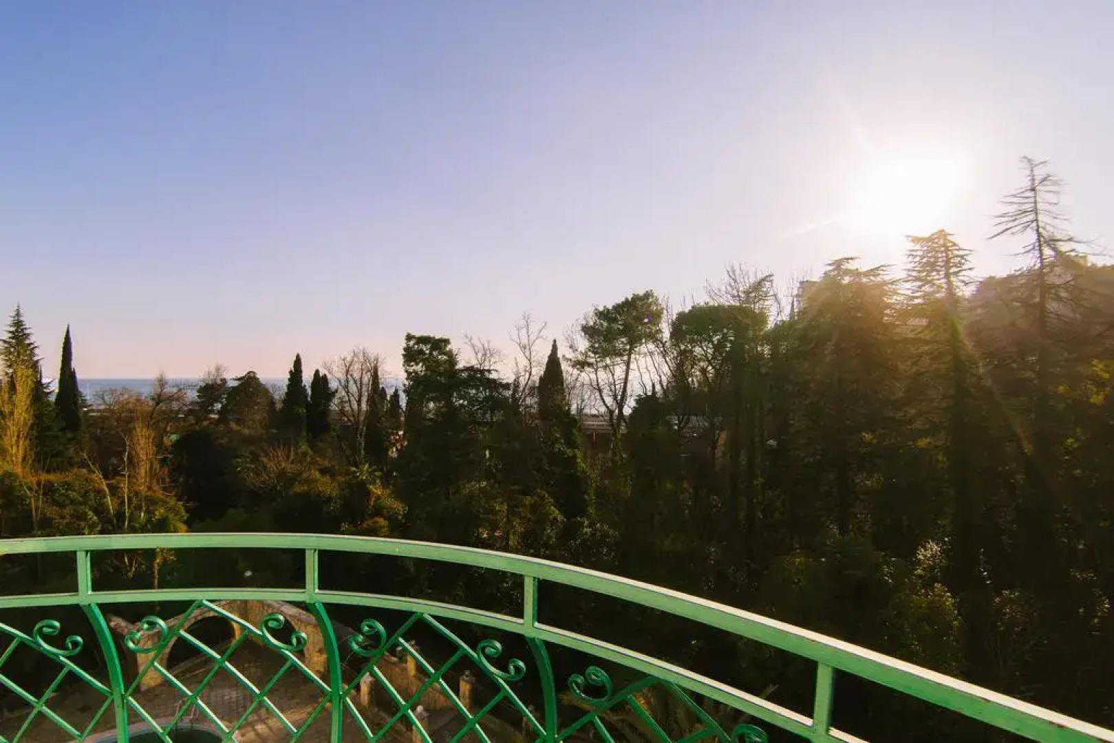 Золотая Пальма